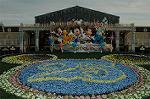 Dcim4421/DSC_3329
