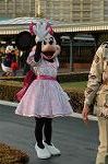 Dcim4421/DSC_3342