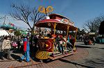 Dcim4425/DSC_7238