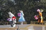 Dcim4425/DSC_7291