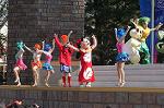 Dcim4425/DSC_7323