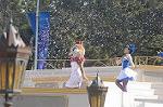 Dcim4426/DSC_7347