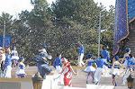 Dcim4426/DSC_7350