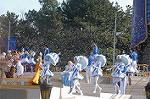 Dcim4426/DSC_7351