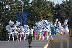 Dcim4426/DSC_7352