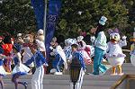 Dcim4426/DSC_7353