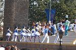 Dcim4426/DSC_7355