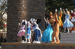 Dcim4426/DSC_7370