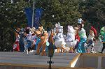 Dcim4426/DSC_7388