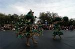 Dcim4426/DSC_7436