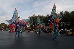 Dcim4426/DSC_7438