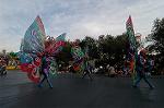Dcim4426/DSC_7439