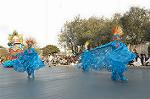 Dcim4427/DSC_7486