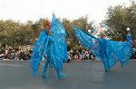 Dcim4427/DSC_7489