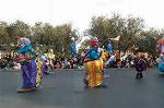 Dcim4427/DSC_7516