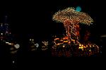 Dcim4431/DSC_7937