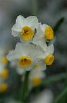 Dcim4432/DSC_3822