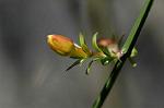 Dcim4437/DSC_4348