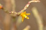 Dcim4438/DSC_4513