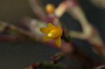 Dcim4438/DSC_4538