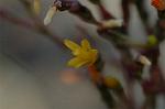 Dcim4438/DSC_4540