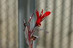 Dcim4438/DSC_4554