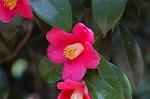 Dcim4439/DSC_4672