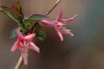 Dcim4440/DSC_4719