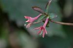 Dcim4440/DSC_4720