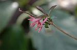 Dcim4440/DSC_4725