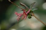 Dcim4440/DSC_4727
