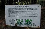 Dcim4441/DSC_8034