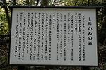Dcim4441/DSC_8036