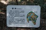 Dcim4441/DSC_8048