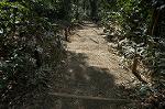 Dcim4441/DSC_8058