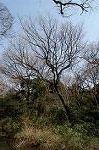 Dcim4441/DSC_8071