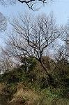Dcim4441/DSC_8072