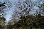 Dcim4441/DSC_8073