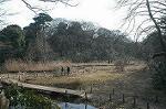 Dcim4441/DSC_8100