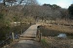 Dcim4441/DSC_8104