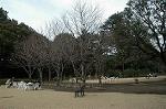 Dcim4442/DSC_8159