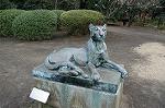 Dcim4442/DSC_8192