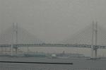 Dcim4443/DSC_4838