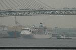 Dcim4443/DSC_4843