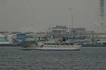 Dcim4452/DSC_5549