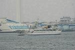 Dcim4452/DSC_5550