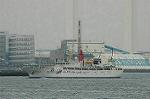 Dcim4452/DSC_5555