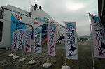 Dcim4452/DSC_5559