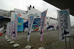 Dcim4452/DSC_5560