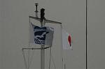 Dcim4452/DSC_5593